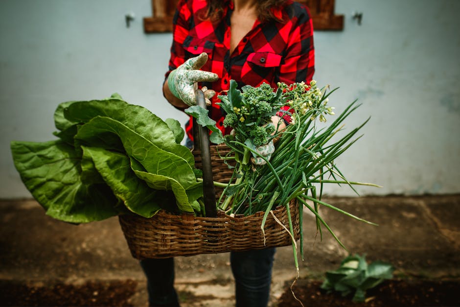 Building a Sustainable Garden: A Beginner's Guide